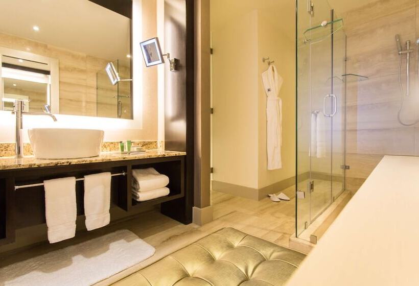 Номер Стандарт, Hilton Panama