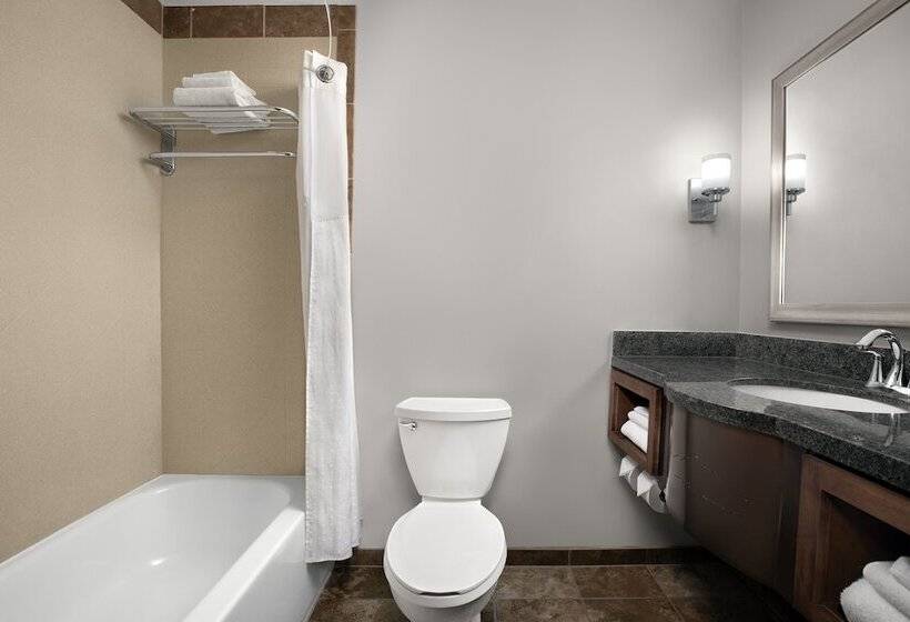 스탠다드 룸 더블 침대 2개, Holiday Inn & Suites Durango Downtown, An Ihg