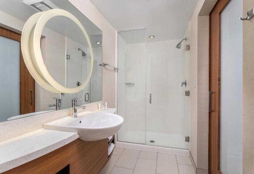 Студия Стандарт, Springhill Suites By Marriott Downtown Chattanooga/cameron Harbor