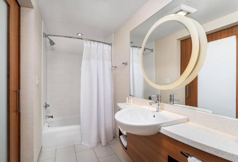 Студио Стандарт Кровать Кинг, Springhill Suites By Marriott Downtown Chattanooga/cameron Harbor