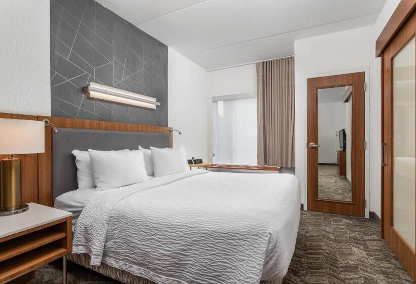 Студио Стандарт Кровать Кинг, Springhill Suites By Marriott Downtown Chattanooga/cameron Harbor