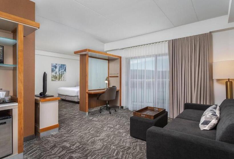 Студио Стандарт Кровать Кинг, Springhill Suites By Marriott Downtown Chattanooga/cameron Harbor