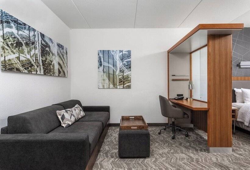 Standard studio with river view, Springhill Suites By Marriott Downtown Chattanooga/cameron Harbor