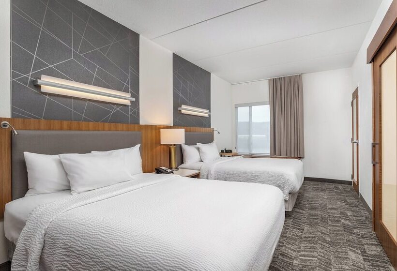 Standard studio with river view, Springhill Suites By Marriott Downtown Chattanooga/cameron Harbor