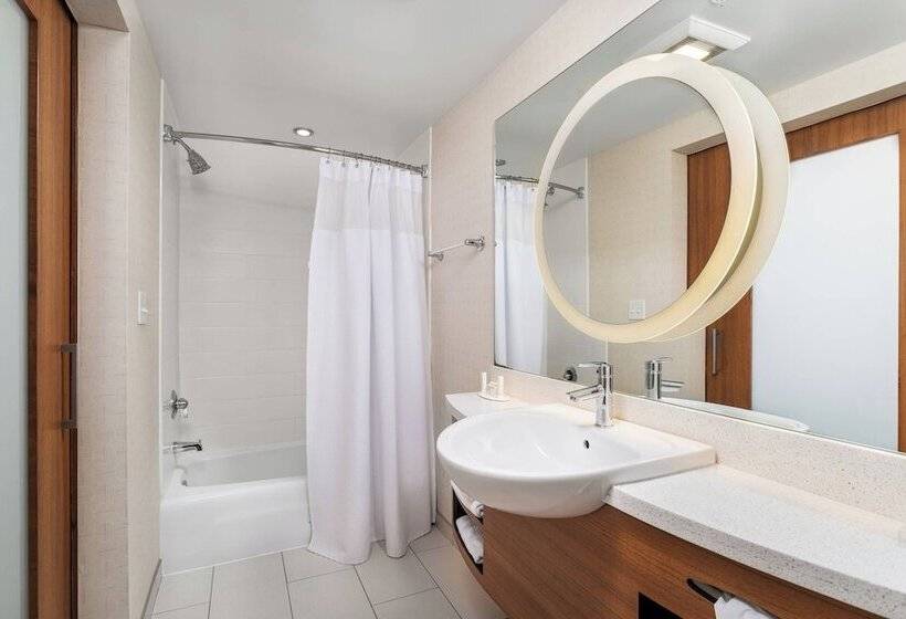 Студия Стандарт, Springhill Suites By Marriott Downtown Chattanooga/cameron Harbor
