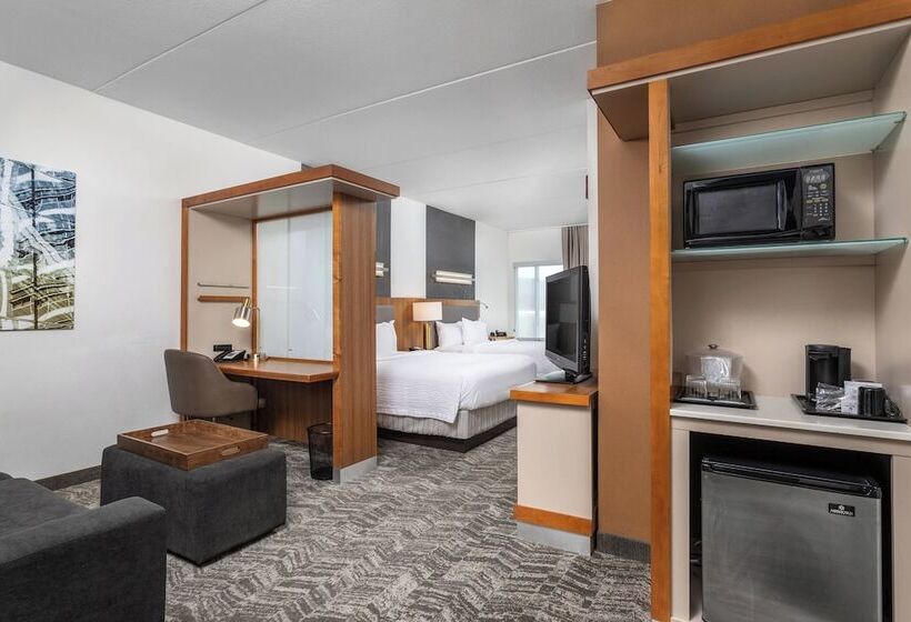 Студия Стандарт, Springhill Suites By Marriott Downtown Chattanooga/cameron Harbor