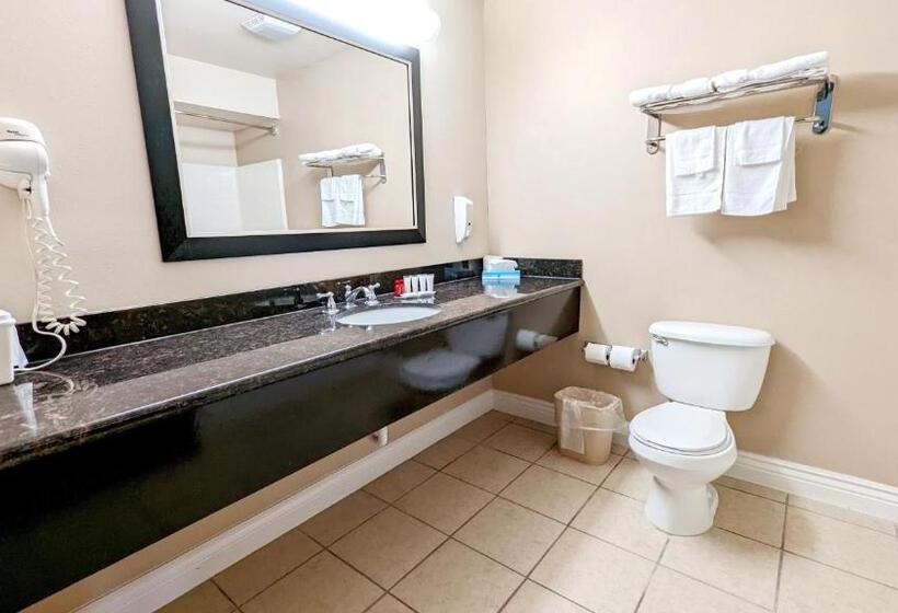 Номер Стандарт Индивидуальный, Fairbridge Inn & Suites Canadian