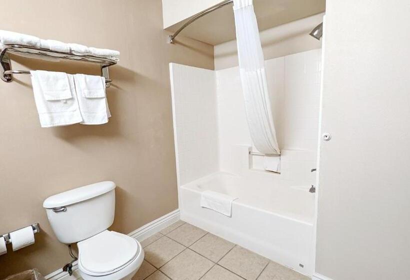 Люкс Кровать Кинг, Fairbridge Inn & Suites Canadian