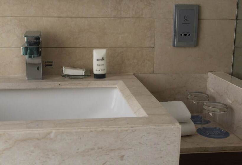 带大床的标准间, Hyatt Ahmedabad