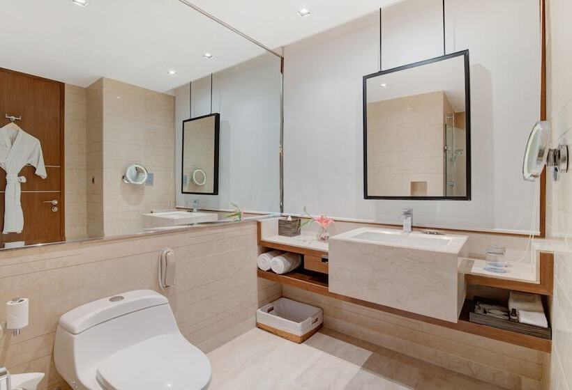 俱乐部房间, Hyatt Ahmedabad
