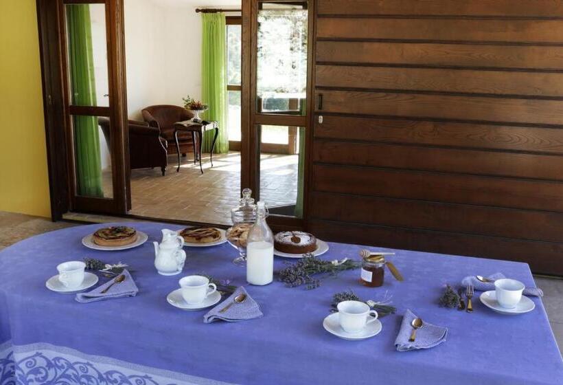 Family Suite, Tenuta Ponziani   Griffin S Resort