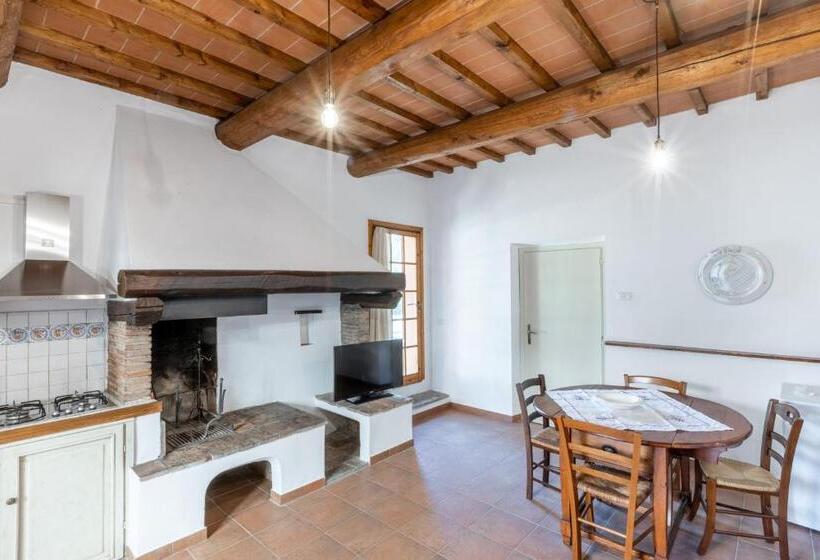 Апартаменты 1 Спальня Нижний Этаж, Agriturismo Poggio Nardini