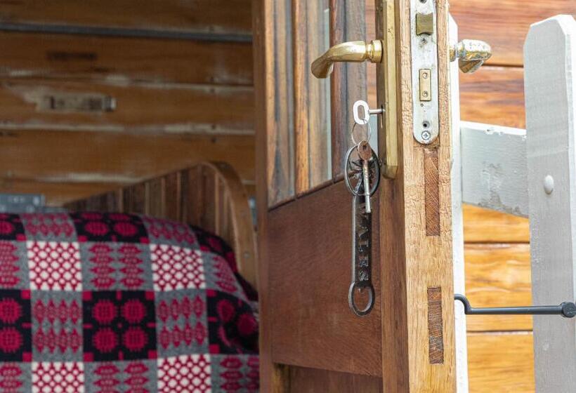 חדר סופריור נוף לים, Penrhiw Farm B & B