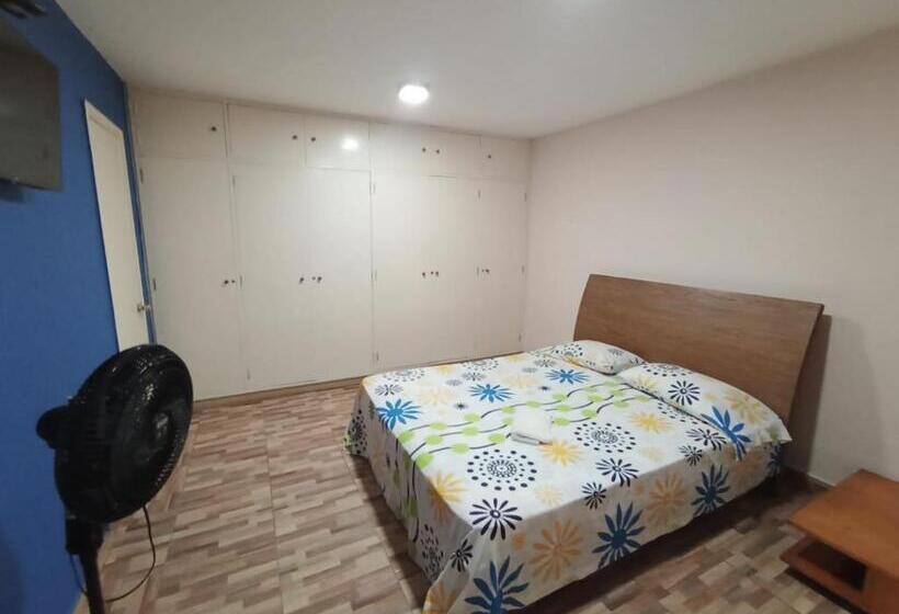 스탠다드 룸 킹사이즈 침대, Hostal Avanza