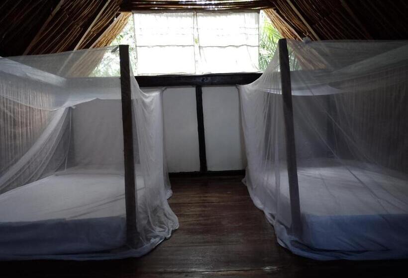 4인용 스탠다드 룸, Bonita Hostel