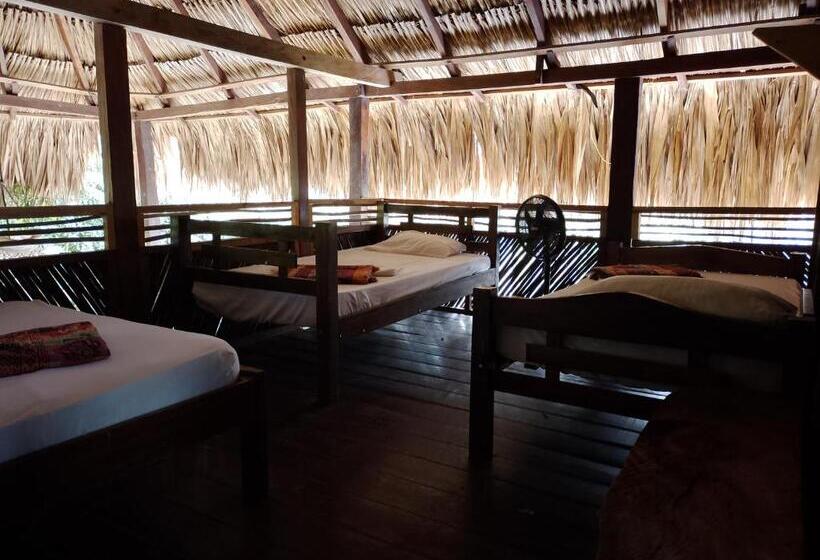 共用房间的床, Bonita Hostel