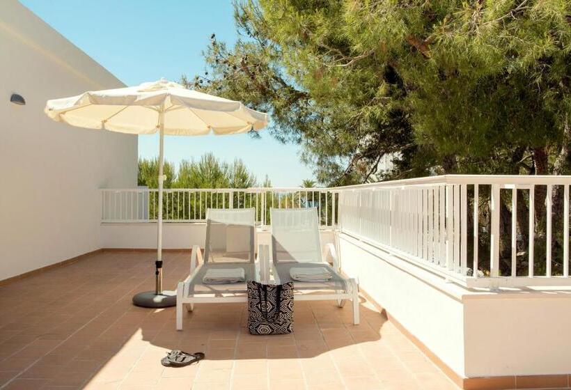 스탠다드 스튜디오, Sunwing Alcudia Beach