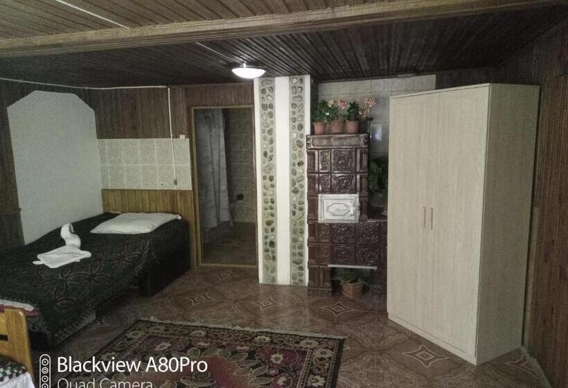 غرفة قياسية ثلاثية, Pensiunea Irina 3