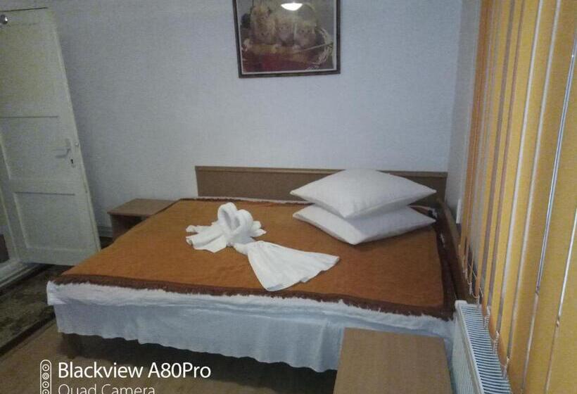 Номер Стандарт, Pensiunea Irina 3