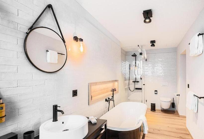 Студия Стандарт, Alpine Inn Davos