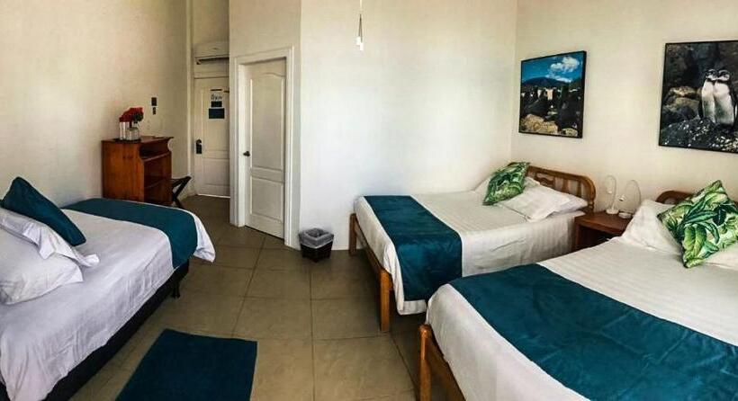 Triple Room Sea View, Albemarle