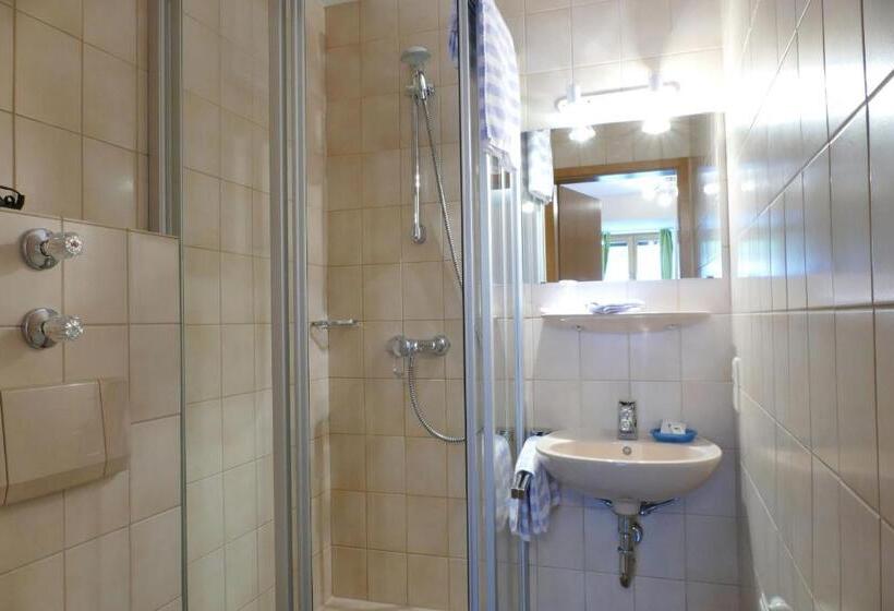 Номер Стандарт Индивидуальный, Altstadt Hotel Zum Hechten