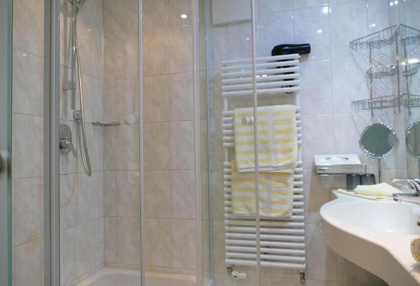 Номер Superior, Altstadt Hotel Zum Hechten