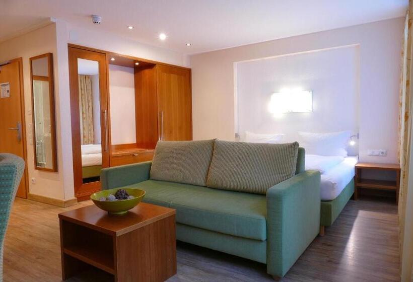 Номер Superior, Altstadt Hotel Zum Hechten