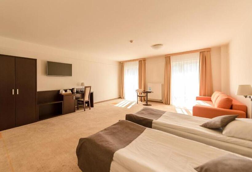 غرفة سوبيريور, Elbrus Spa & Wellness