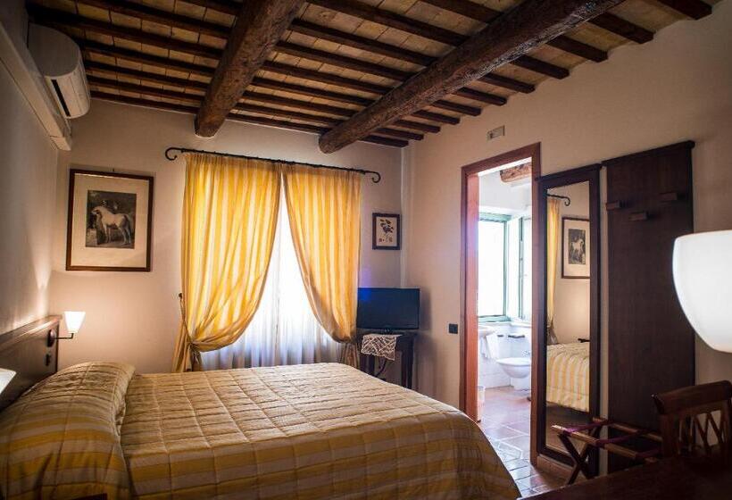 اتاق استاندارد, San Claudio