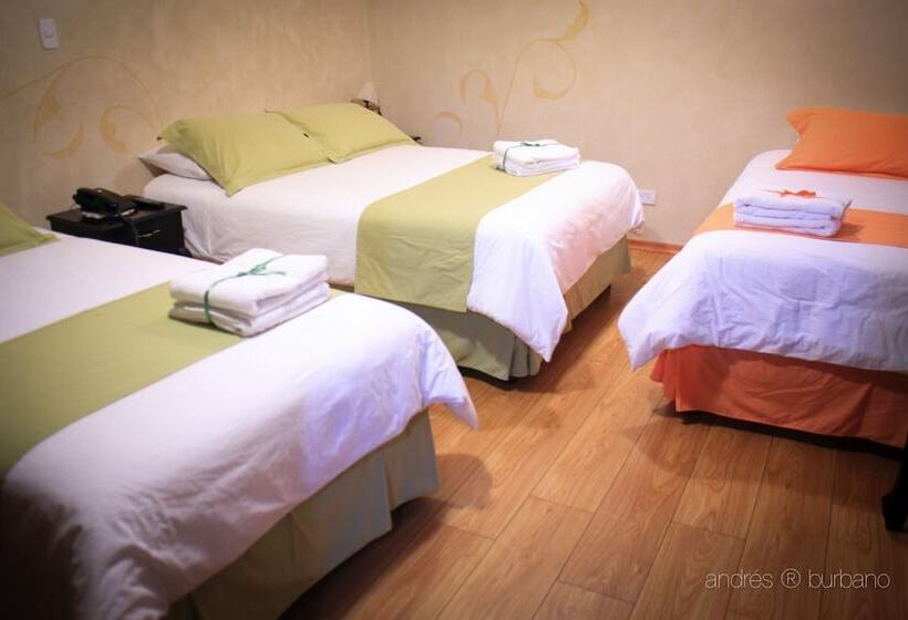 اتاق سوپریور, Golden Rest Latacunga