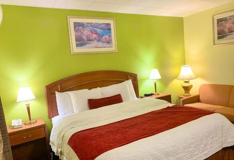 스탠다드 룸 킹사이즈 침대, Valley Inn Motel