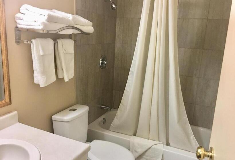 스탠다드 룸 더블 침대 2개, Valley Inn Motel
