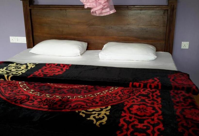 Номер Deluxe, Raveena Guest House