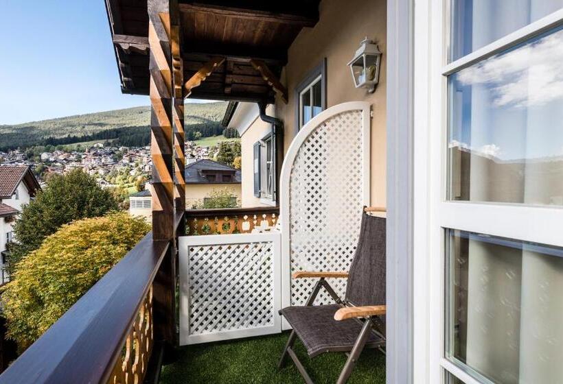 Классический Номер, Classic Hotel Am Stetteneck