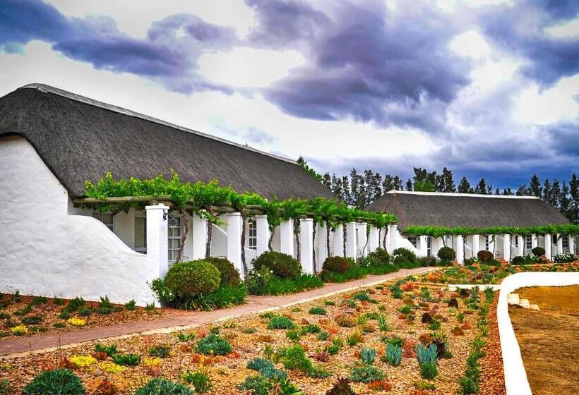 Номер Стандарт, Rijk S Wine Estate &