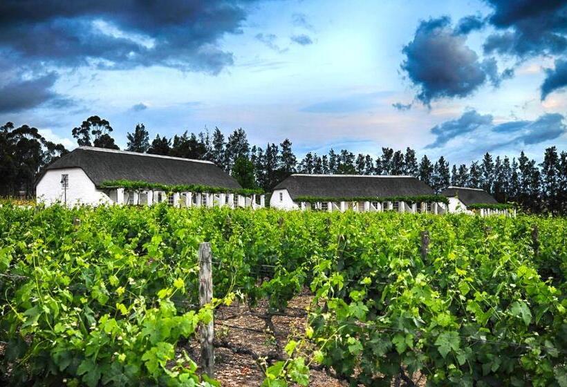 Номер Стандарт, Rijk S Wine Estate &