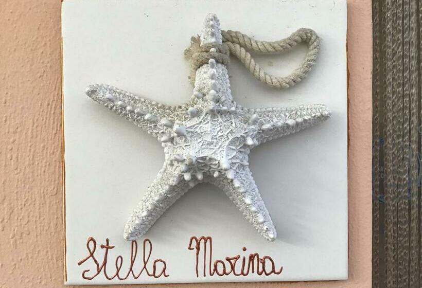 استودیوی استاندارد, Falesiaconero
