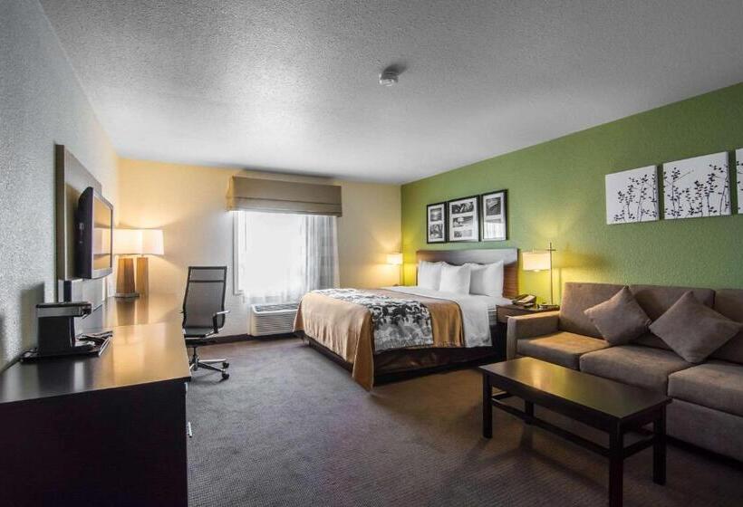 キングサイズベッドのスタンダードルーム, Sleep Inn Regina East