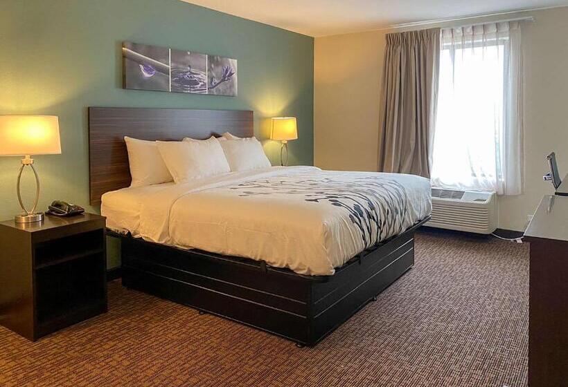 带大床的标准间, Sleep Inn Greensboro   Coliseum Area