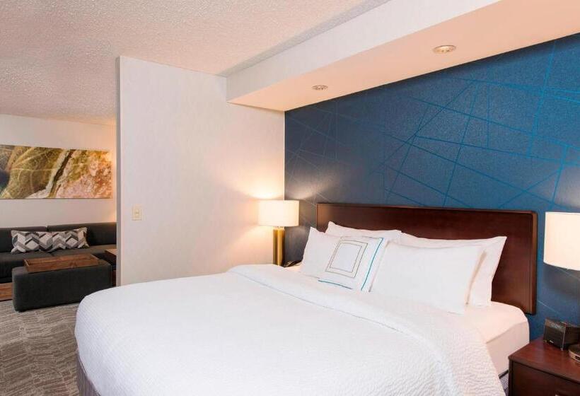 Студио Стандарт Кровать Кинг, Springhill Suites Midland