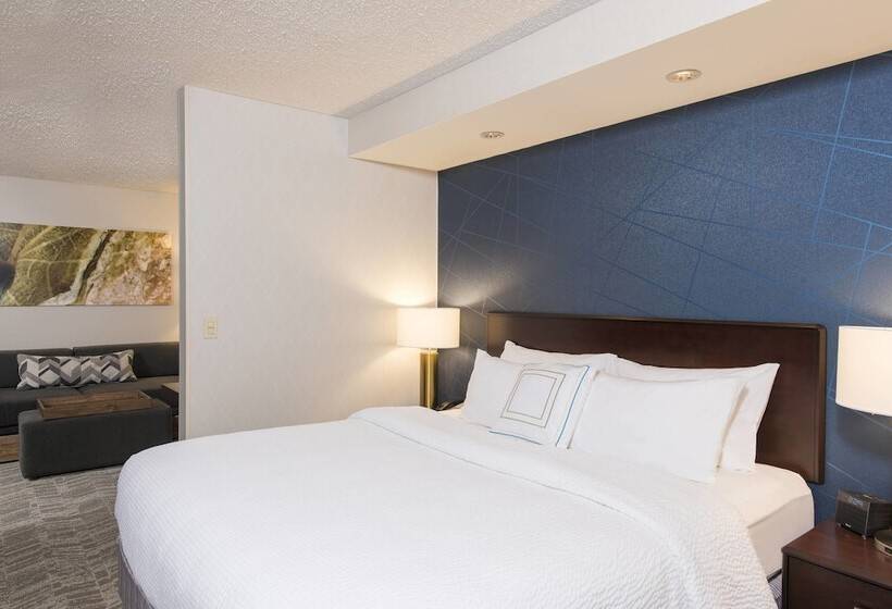 Студия Стандарт, Springhill Suites Midland