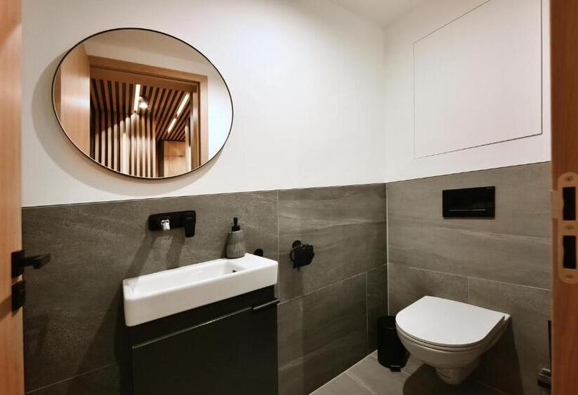 디럭스 스튜디오, Aplend Hotel Ovruč