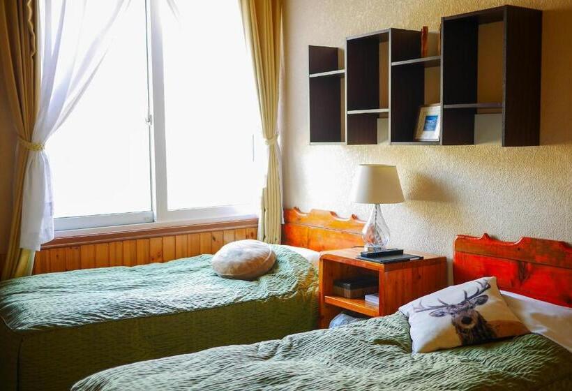 Номер Стандарт Вид на Горы, Country Inn Milky House
