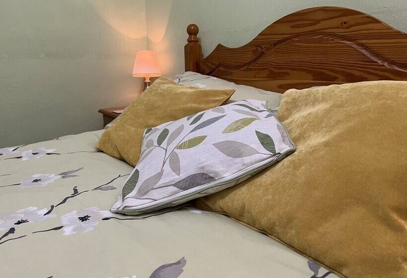 اتاق استاندارد, B&b Near The Sea