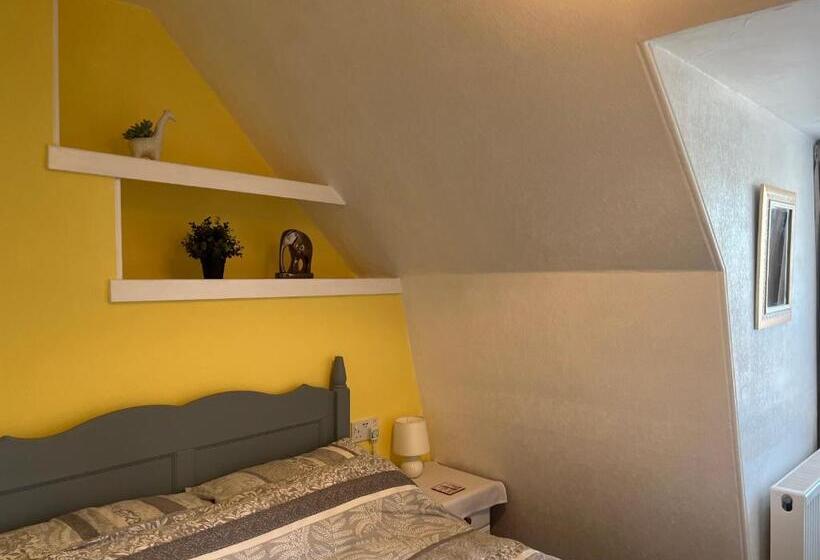 اتاق لوکس, B&b Near The Sea