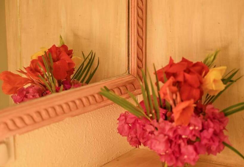 اتاق لوکس, Lions  Luxury Eco Resort & Spa
