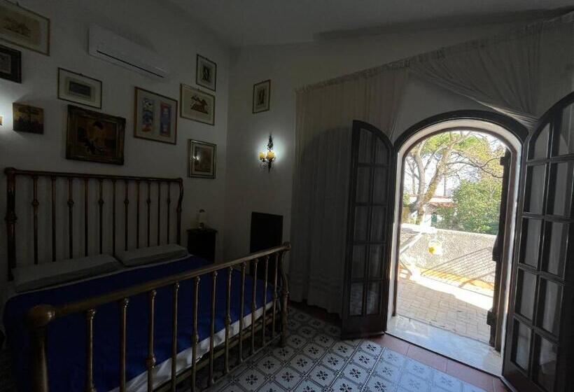 Семейный Номер, Fondazione Villa Point Onlus