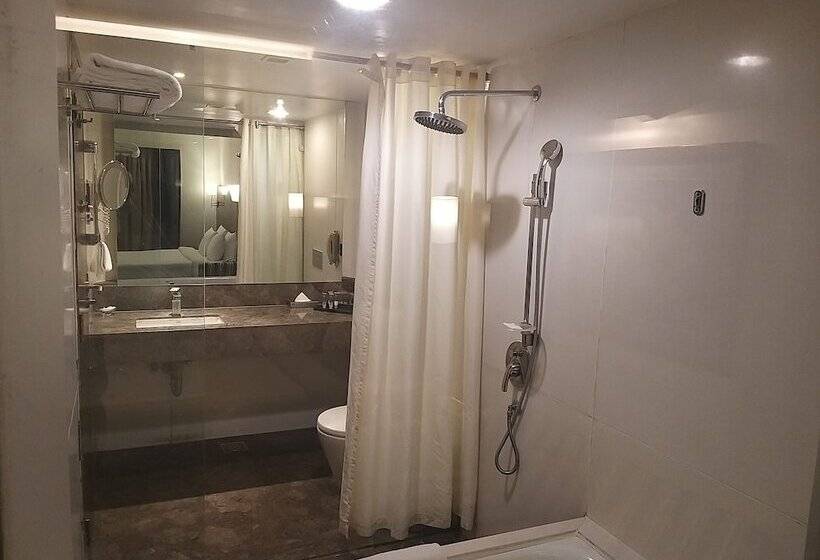 اتاق پرمیوم, The Orchid Hotel Pune Hinjewadi