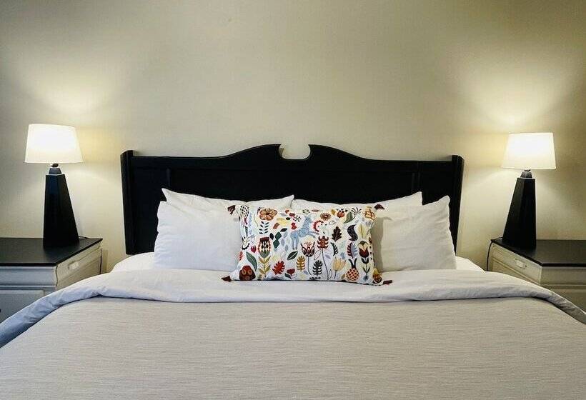 Номер Стандарт, Piccadilly Motel